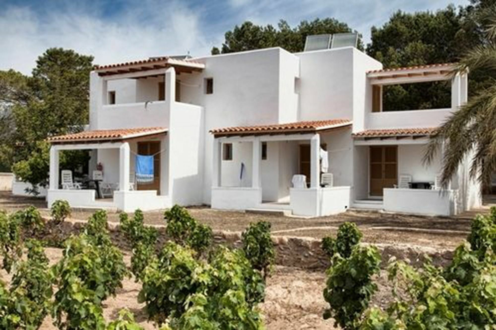 Bungalows Es Pins - Emar Hotels Playa Migjorn Dış mekan fotoğraf
