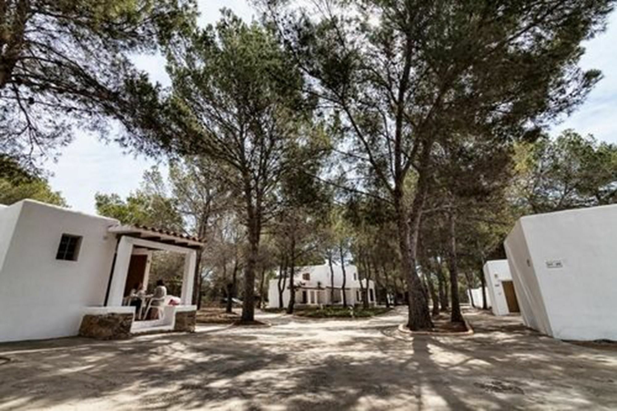 Bungalows Es Pins - Emar Hotels Playa Migjorn Dış mekan fotoğraf